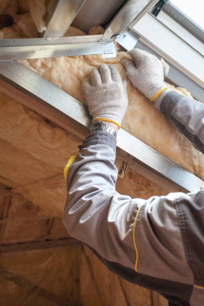 Best Local Insulation Services  in Scott City, KS